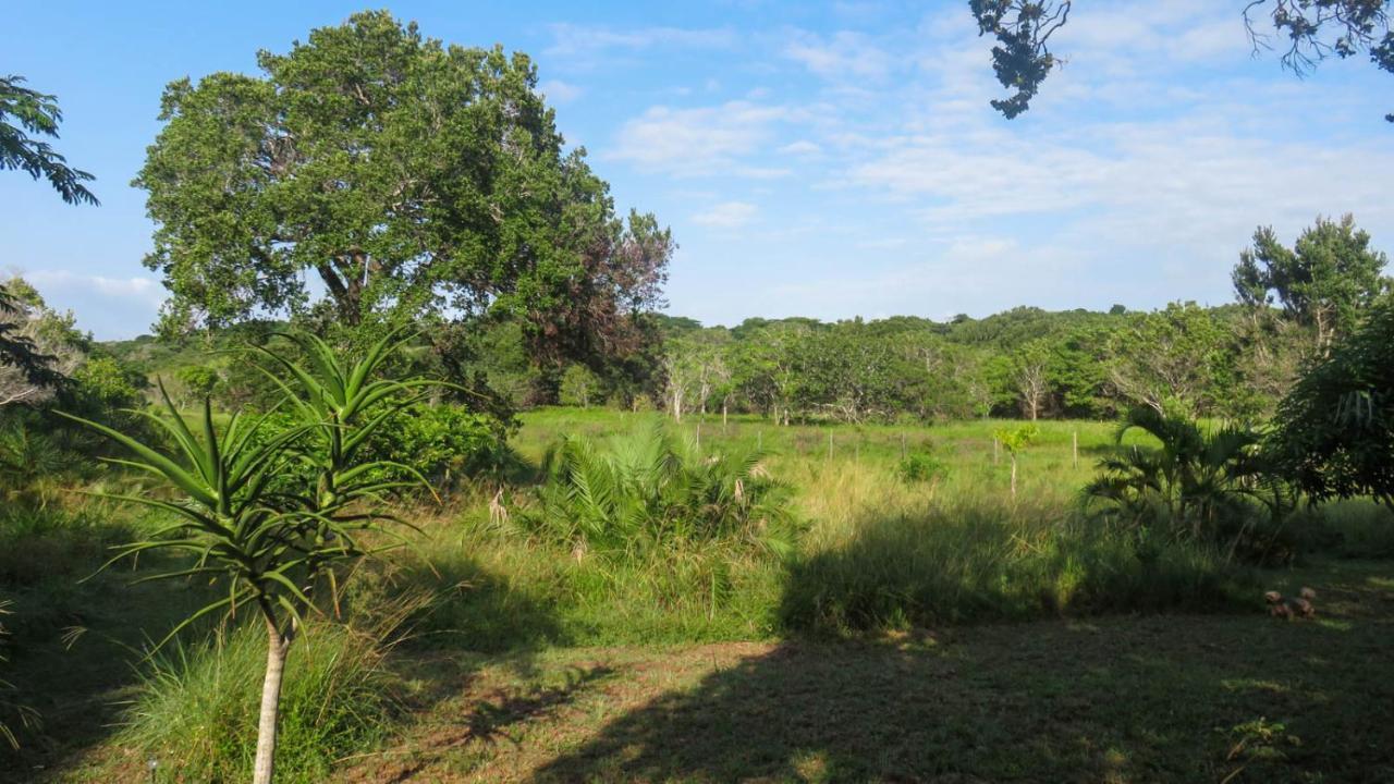 Lodge Umusa KwaMazambane Bagian luar foto