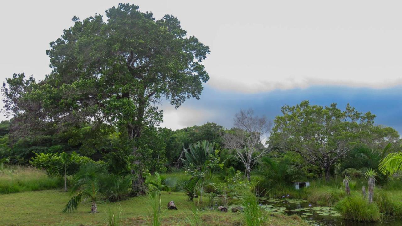 Lodge Umusa KwaMazambane Bagian luar foto