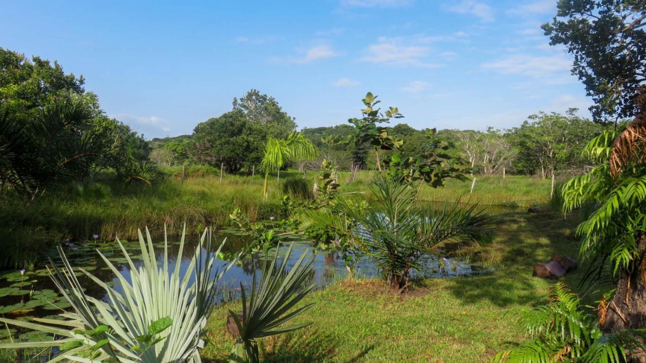 Lodge Umusa KwaMazambane Bagian luar foto